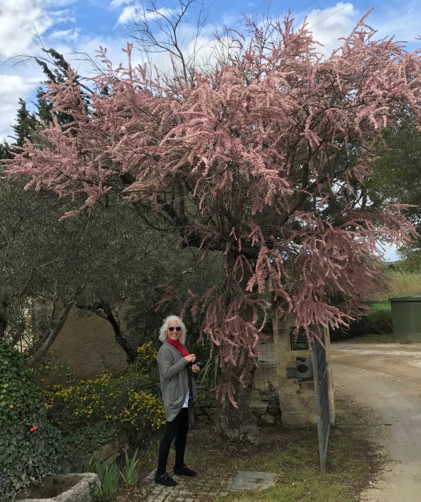 32CD70AB-098D-4D3B-A059-DFE4AD2394E7