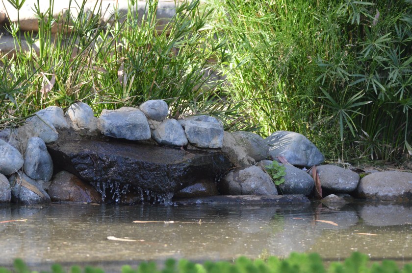 0B7F4A4B-1431-4497-8C7B-7A4856DC9F0D