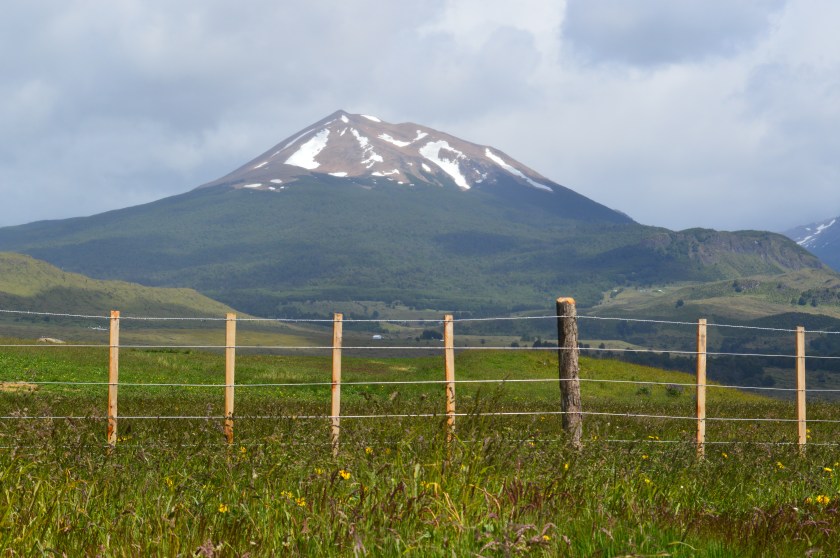 0C59A020-E5E5-425B-8D64-9B8FD4144DC2