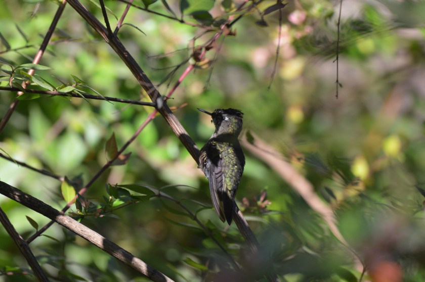 32028802-F320-4CFC-97F9-B099A14AB7E6