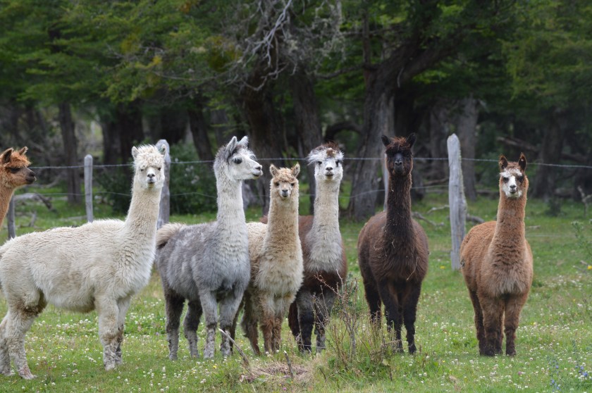 B68C9707-C8EA-4967-BB38-F40EBDDD905C