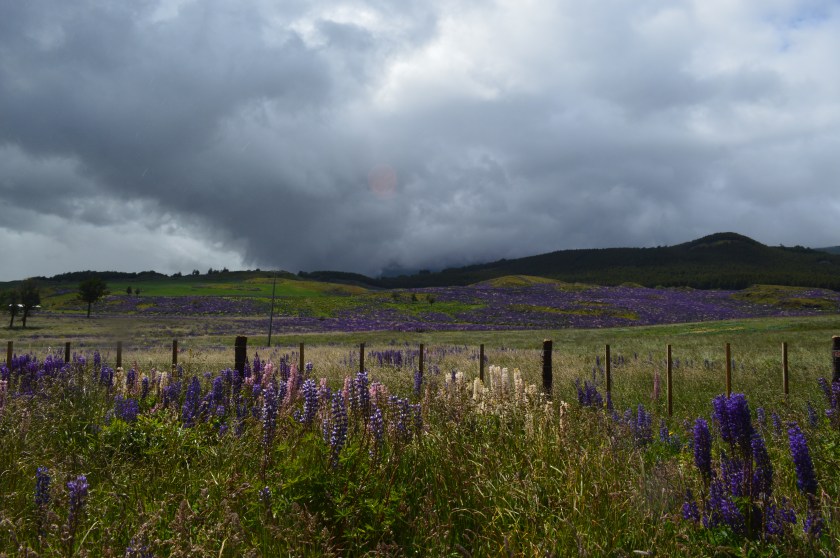 BE60B672-29BC-45DB-88D5-5CC8C8165F1D