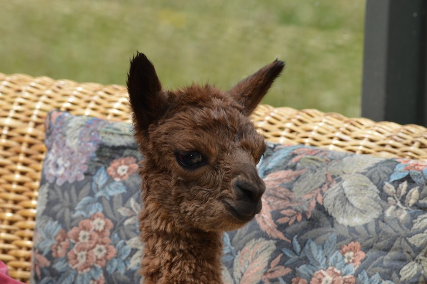 C250FE5C-1A88-48BC-B544-4E7733DC0430