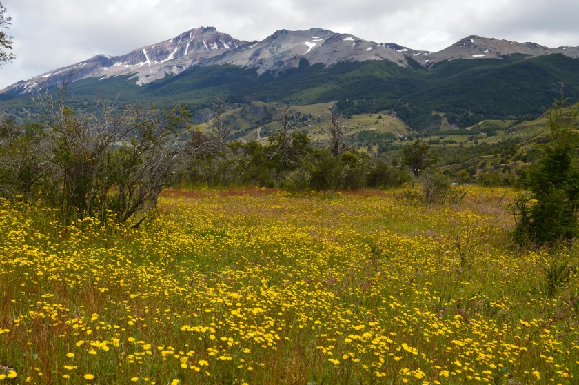 C9E44C3C-71C6-4AF3-A613-A03FE8864349